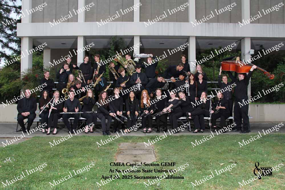 Musical Images